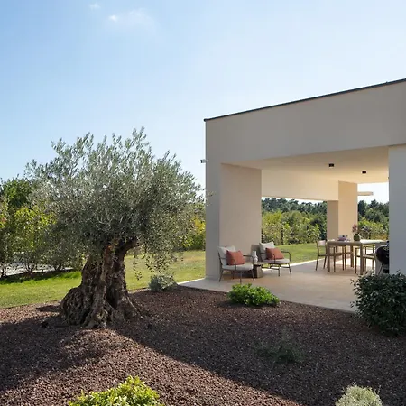 Terra Vila